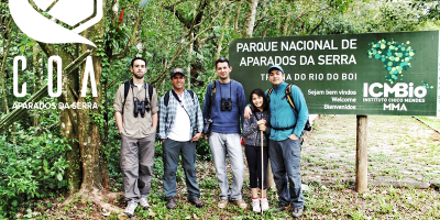 Observação de Aves nos Aparados da Serra