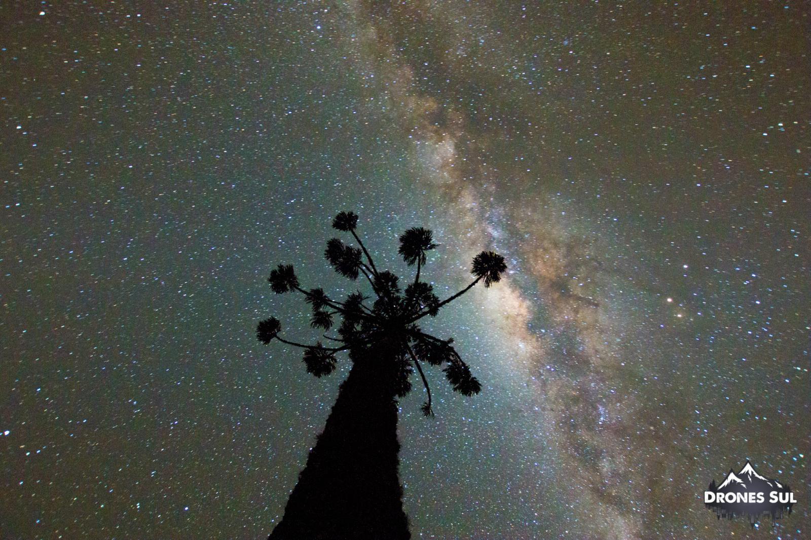 [Imersão Noturna nos Canyons]