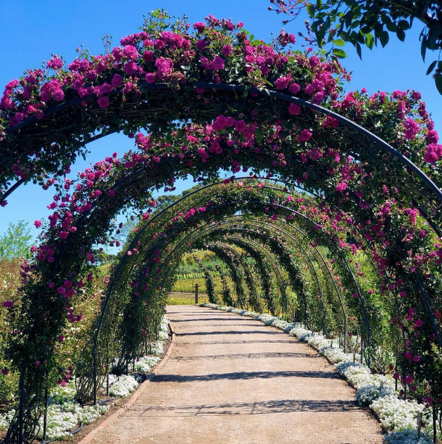 Mátria Parque de Flores