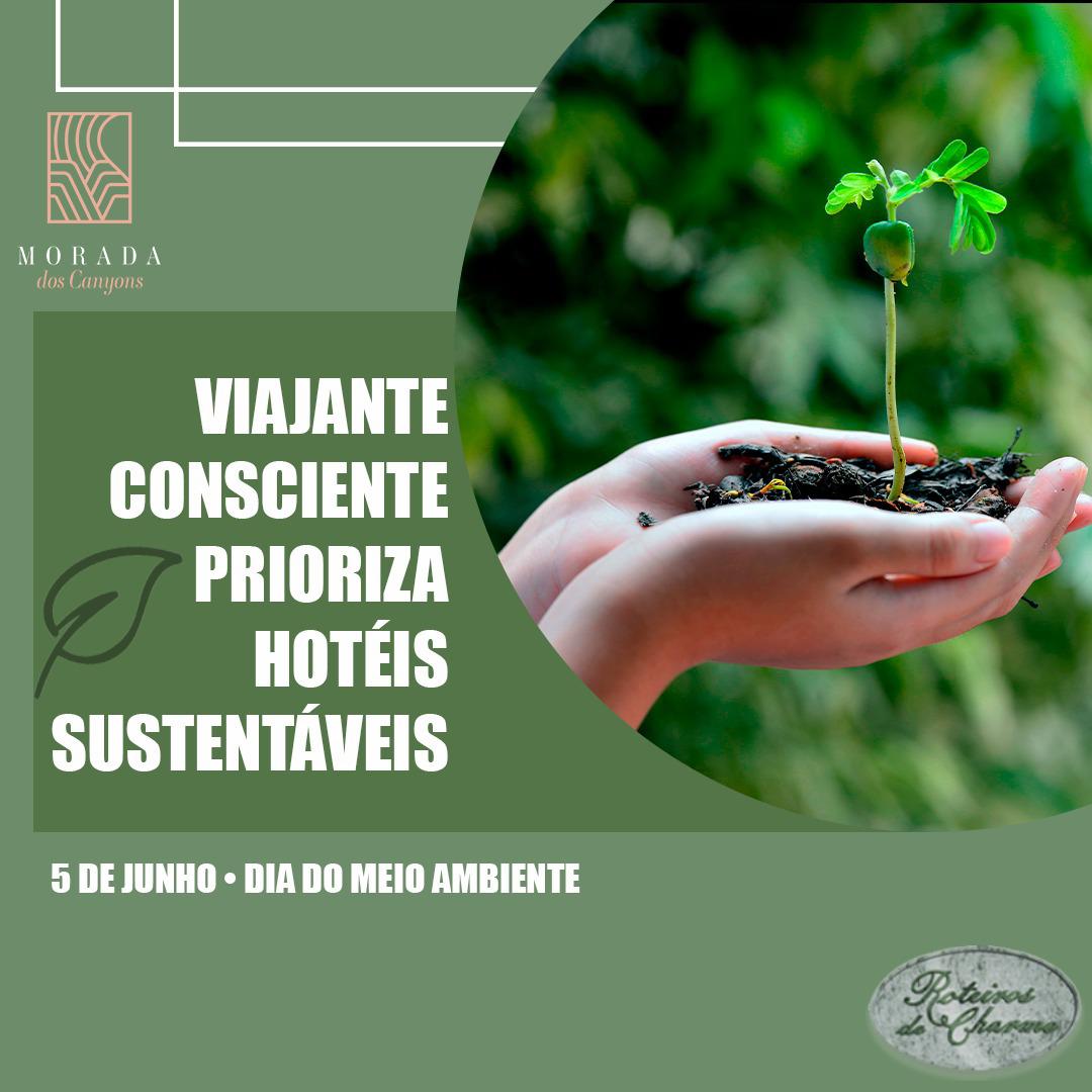 Viajante Consciente prioriza hotéis sustentáveis