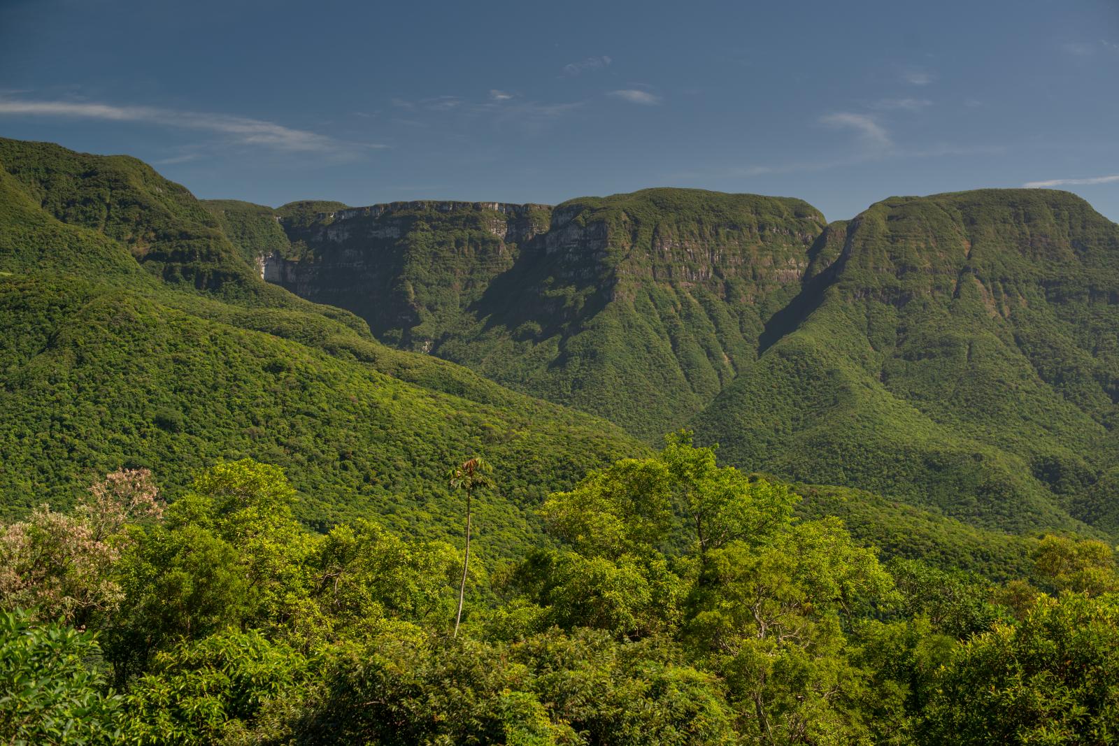 [O que te relaxa]