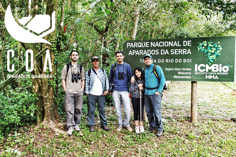 [Observação de Aves nos Aparados da Serra]