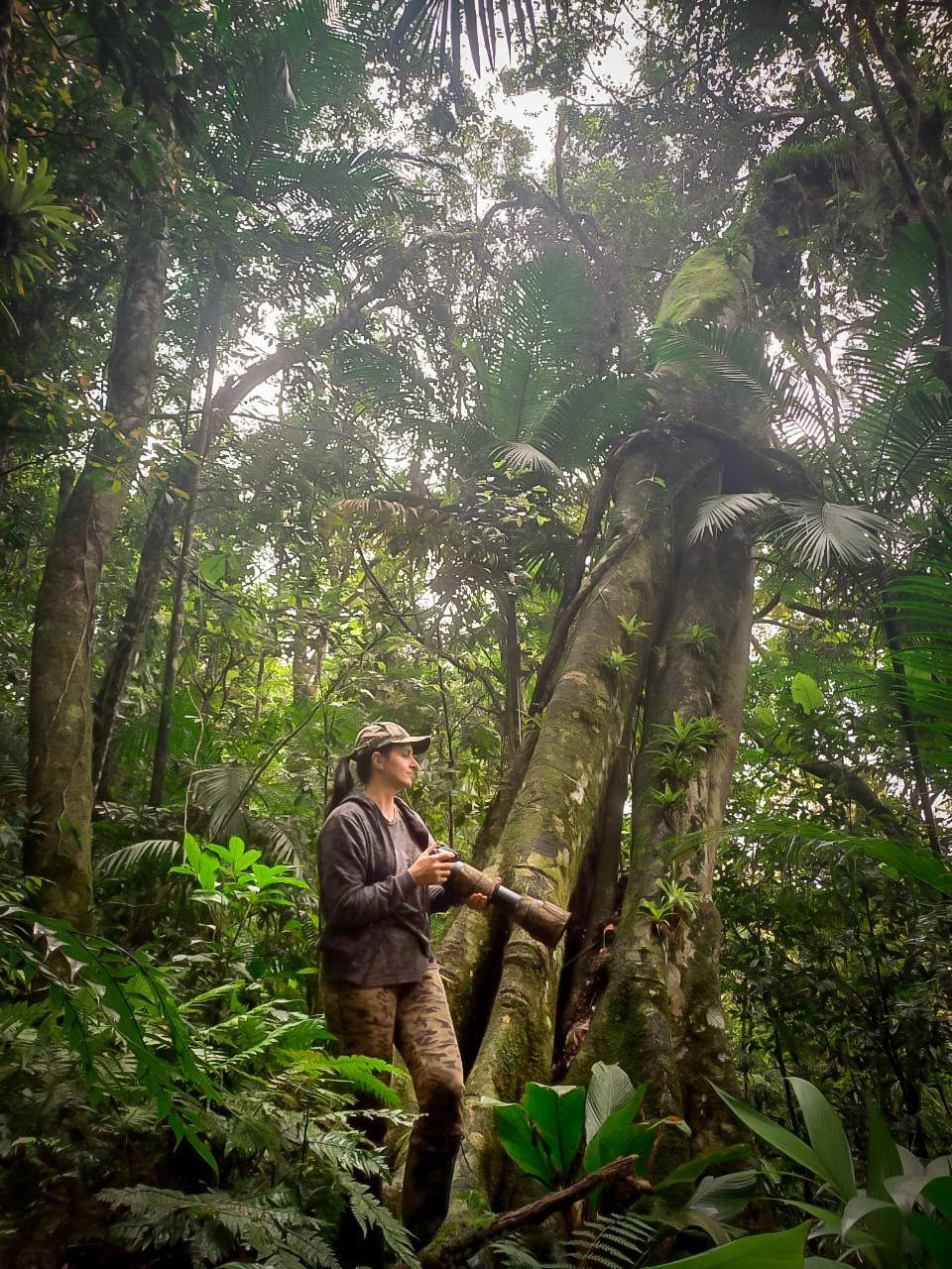[O Fascinante Mundo das Aves nos Canyons do Sul de Santa Catarina: Uma Entrevista com Juliani Dondossola]