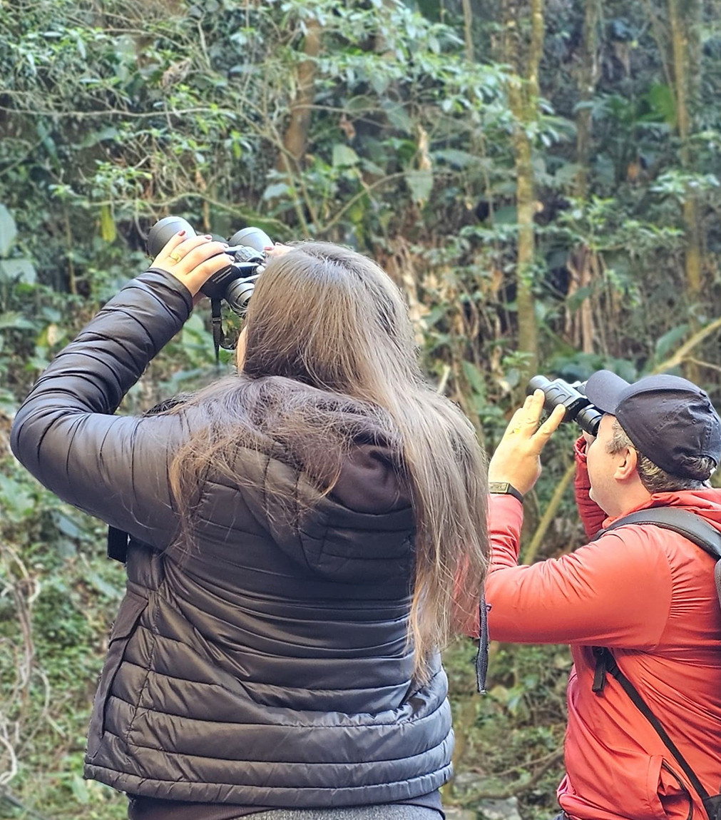 Observação de Aves em Santa Catarina