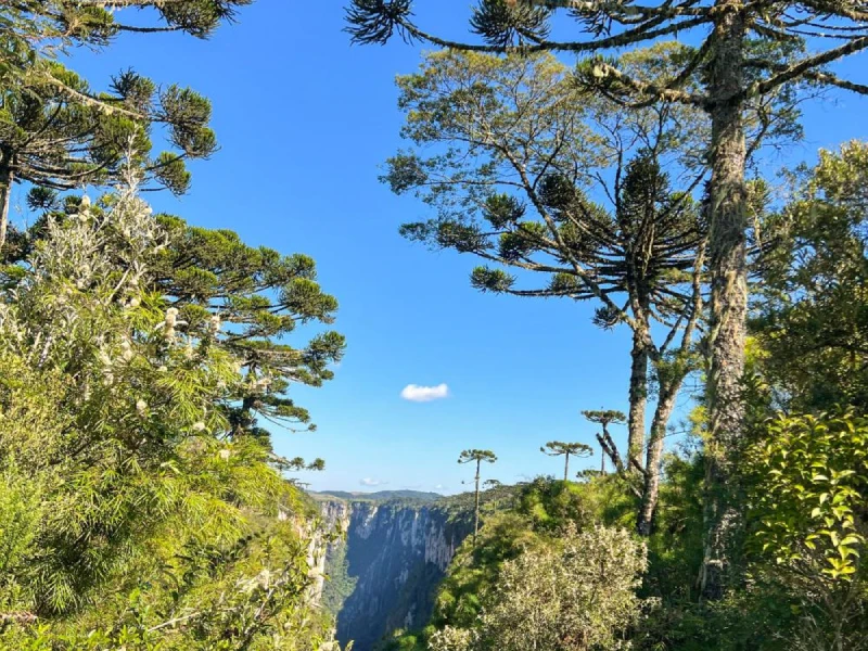 moradadoscanyons-canyonitaimbezinho (8)