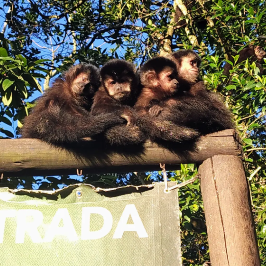 Parque Ecológico de Maracajá